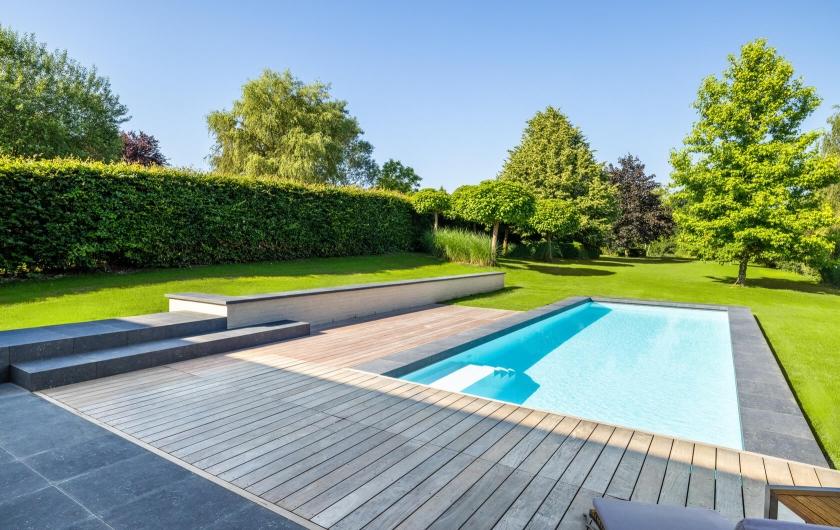 piscine haie jardin